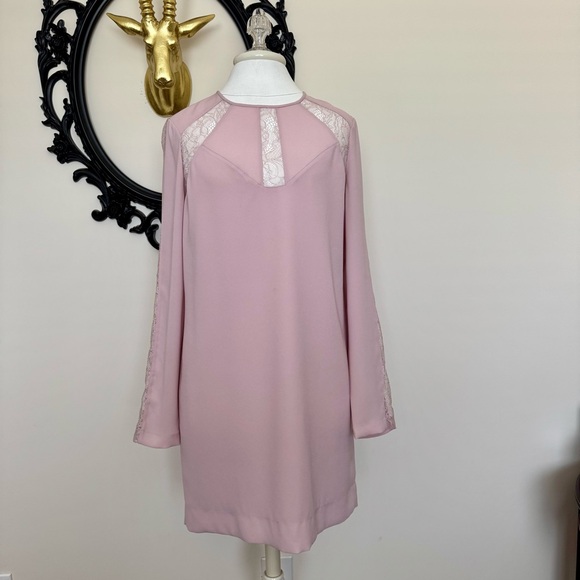 BCBGMaxAzria Dresses & Skirts - BCBG MaxAzria Light Pink Long Sleeve Lace Dress